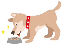 Apto para uso diario